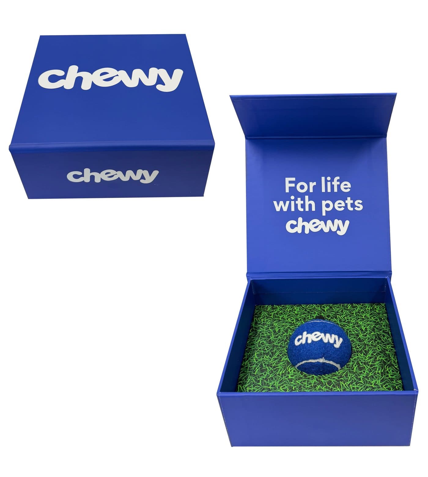 Chewy Welcome Box - Chewy - VSL Print Portfolio